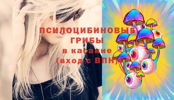 тгк Осташков