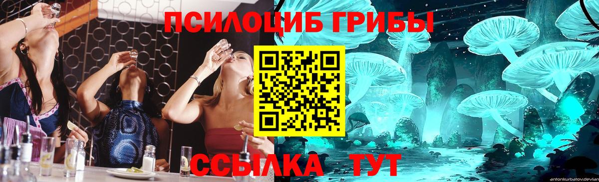 Галлюциногенные грибы мухоморы Усолье-Сибирское